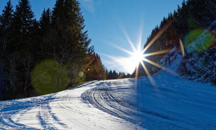 Mit guten Vorsätzen ins neue Jahr